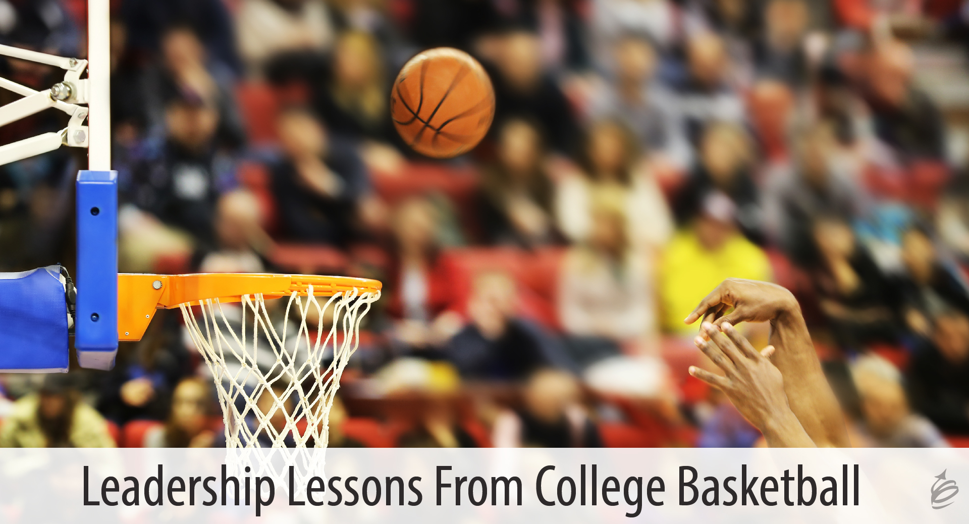 leadership in basketball essay