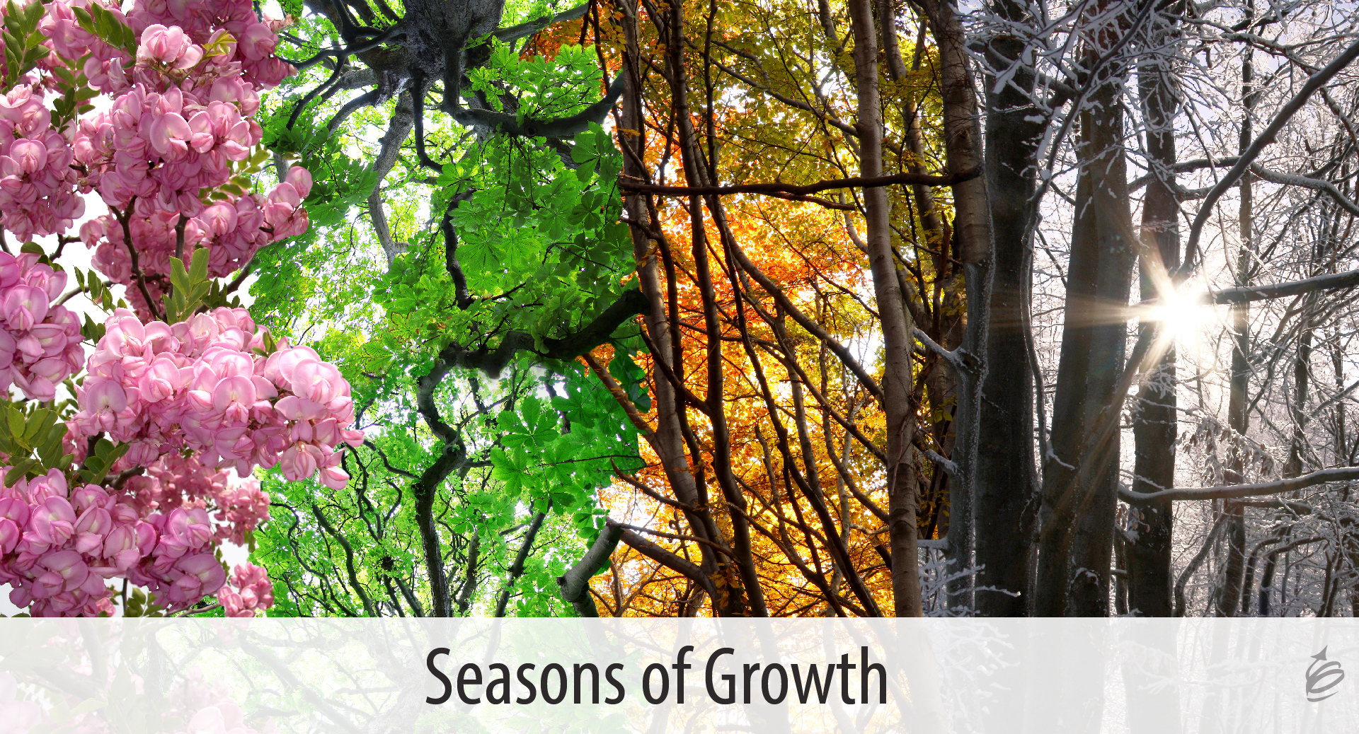 seasons of growth